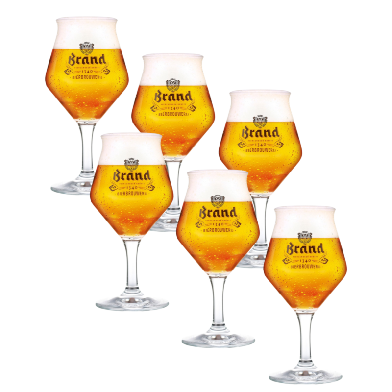 Brand Bovengister bierglazen - 25cl - 6 stuks
