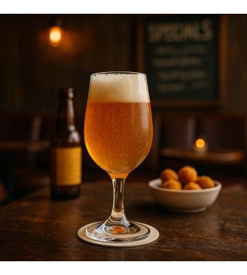 INAO bier proefglazen - 6 stuks